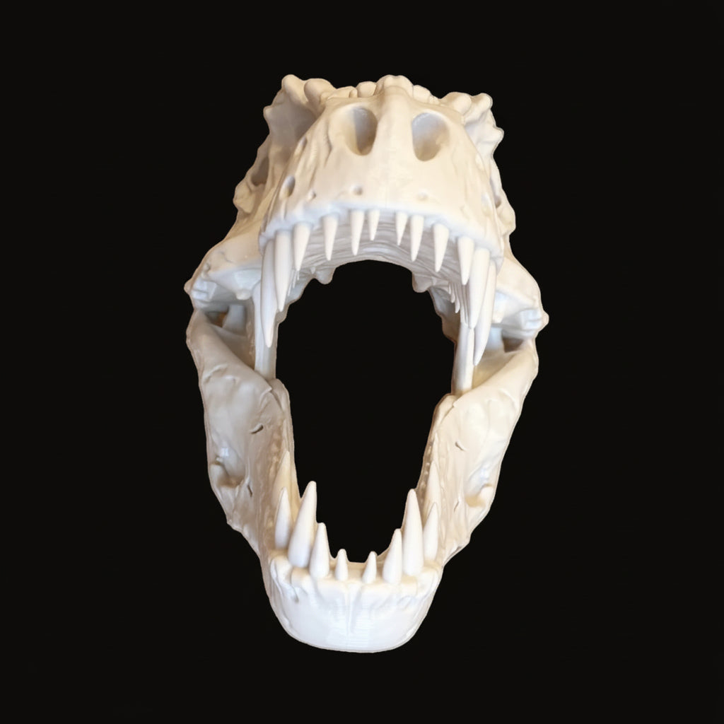 T-Rex Skull — Realistic Dinosaur Fossil, Display Quality Replica